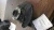 Volvo S60 Used OEM Steering Knuckle Spindle