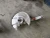 2026 Volvo XC90 2178769 Front Used OEM Steering Knuckle Spindle