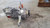 2020-2023 Mercedes Glb-Class Carrier 247 Type, 177 Type Used OEM Differentials & Carriers used OEM differential carrier