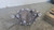 2024-2025 Ford Mustang 5.0L Rear Carrier , 3.15 Ratio W/**14 Miles** Used OEM Rear Differential Carriers used OEM rear