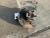 2013-2016 Scion FR-S Front Right/Passenger RWD Used OEM Steering Knuckle Spindle