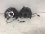 2013-2016 Scion FR-S Front Left & Right With Hub Used OEM Steering Knuckle Spindle