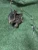 2013 Scion FR-S Rear Right/Passenger Used OEM Steering Knuckle Spindle