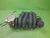 2005-2006 Acura RSX 2.0L Used OEM Intake Manifold