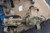 2020-2024 Nissan Titan Carrier/Differential (4X4) Used OEM Differentials & Carriers used OEM differential carrier assembly