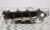 2012 Audi A6 Used Intake Manifold