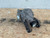2008-2019 Rear Maserati Granturismo M145 Used OEM Rear Differential Carriers used OEM rear differential carrier assembly