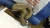 1992-1994 BMW 318i Upper Used Intake Manifold