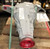 2015-2016 Porsche Macan S 3.0L Rear Used OEM Rear Differential Carriers used OEM rear differential carrier assembly