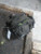 2014 Cadillac Ats Rear Axle 2.0 Used OEM Differential Carrier Assembly used OEM rear differential carrier assembly