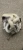 BMW 318i Upper Lower Used Intake Manifold