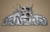 BMW E21 / E12 Used OEM Intake Manifold