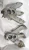 BMW E23 / E24 Front Rear Used OEM Intake Manifold