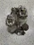 1982-1984 Chevrolet Corvette / Camaro Used Intake Manifold
