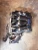 2014-2018 Chrysler 200 2.4L Used Intake Manifold