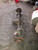 2002-2006 Cadillac Escalade 3.73 Ratio Used OEM Rear Differential Carrier Assembly