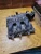 2007-2010 Ford Edge / Taurus / Flex Used OEM Intake Manifold
