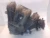 Ford Fusion 2.5L Used OEM Intake Manifold