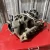 2003-2006 GMC / Chevrolet Sierra / Silverado 5.3L Used Intake Manifold