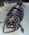2002-2004 Honda CRV With Throttle Body Used OEM Intake Manifold