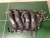 2008-2012 Honda Accord 2.4L Used OEM Intake Manifold