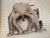 Honda HR-V 1.6L Used Intake Manifold