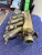 Honda S2000 With Throttle Body Used Intake Manifold