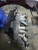 1982-1992 Jaguar XJS Left Used Intake Manifold