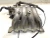2004 Kia Spectra 2.0L Used OEM Intake Manifold