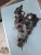 2009 Lexus IS220 2.2L Used Intake Manifold