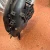 2014 Lexus IS250 With Throttle Body Used OEM Intake Manifold