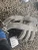 2003-2004 Lincoln LS Upper V6 Used OEM Intake Manifold