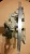 1983-1985 Mazda 626 Used Intake Manifold
