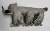 1997 Mazda Millenia / 2 2.3L Front Used Intake Manifold