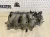 1999-2000 Mazda Miata 1.8L Used OEM Intake Manifold