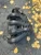 2012 Mazda Mazda 3 / 2 2.0L Used Intake Manifold