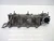 Mazda Mazda 6 / 2 2.2L Diesel Used Intake Manifold