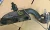 2004 Audi A6 Left Front Used OEM Exhaust Manifold
