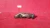 2004-2008 Audi A8 / Quattro Left Header Used OEM Exhaust Manifold