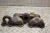 Audi A8 / Quattro 4.0L Diesel TDI Used Exhaust Manifold