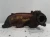 1991 BMW 750I Front Rear Used Exhaust Manifold