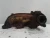 1991-1997 BMW 850i Left Front Used Exhaust Manifold