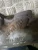 BMW 1 Series 2.0L Diesel N47 Used Exhaust Manifold
