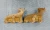 BMW E28 / E30 / E34 Front Header Used OEM Exhaust Manifold