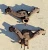 1958-1960 Chevrolet Impala / Bel Air / El Camino Used Exhaust Manifold