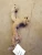 1960 Chevrolet El Camino Used Exhaust Manifold 3749965