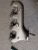 1965 Chevrolet Impala / Caprice Right 396 engine 427 engine Used Exhaust Manifold 3856306