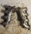 2000-2002 Chevrolet / Pontiac Camaro / Firebird V8 Used Exhaust Manifold