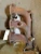 1995-1997 Chrysler LHS Used Exhaust Manifold