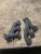 2005-2010 Dodge Challenger Left Used Exhaust Manifold